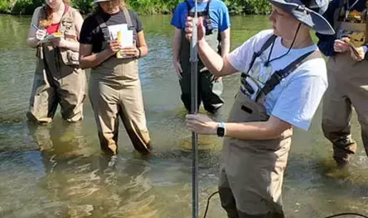 Field Entomology students take their skills to the stream