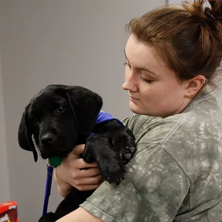 Guiding Eyes for the Blind Puppy with Taylor Hendrickson