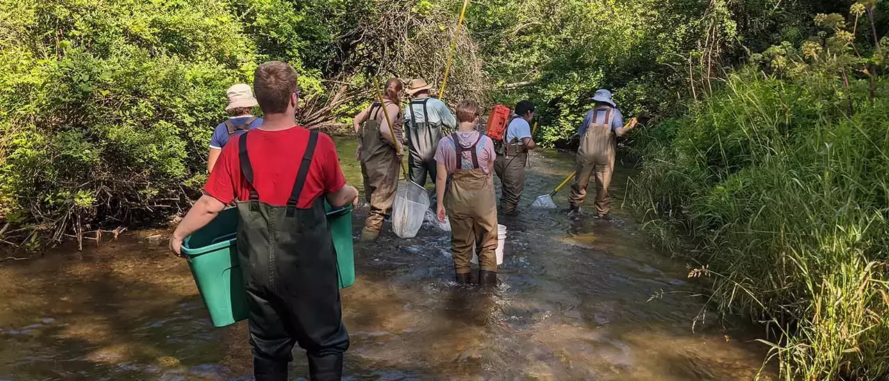 Field Entomology students