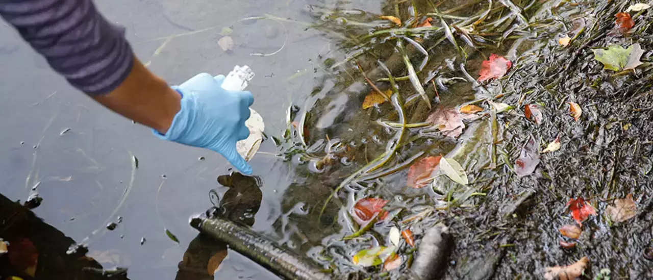 testing for harmful algal blooms (HABs) 
