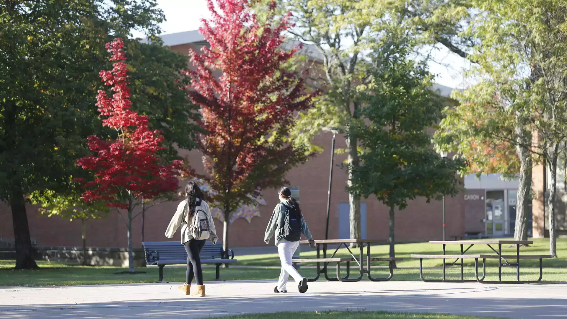 Learn about Oneonta virtually!