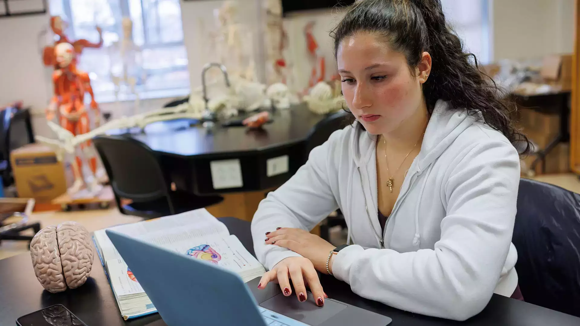A student reviews information in an anatomy class.